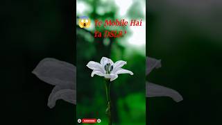 DSLR Ko Bhool Jao! Pro Mode Se Aisi Photos Click Karo 📸🔥#photography#photogrphyhacks