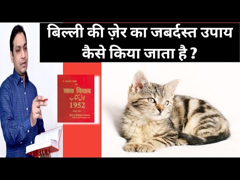 वीडियो: बिल्लियों में मुंह का कैंसर (एडेनोकार्सिनोमा)