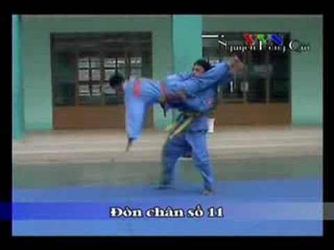 Đòn Chân Tấn Công số 11 - Vovinam Technical Program