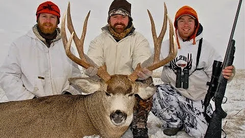 BIG RUTTING ALBERTA MULE DEER! | L2H S06E10 "November Mulies"