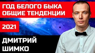 Восточный Гороскоп - 2021. Общие положения года. Астротиполог, Нумеролог - Дмитрий Шимко