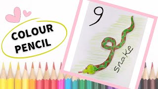 طريقة تلوين ثعبان للمبتدئين | How to Draw a Snake for Beginners