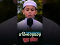 মায়াবী কন্ঠে কুরআন তিলাওয়াত ||৷ #quran #quranrecitation #islamicvideo