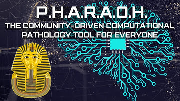 Using AI for Phenotypic Automated Reporting and Analysis of Histopathology (PHARAOH)