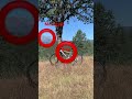 Stupidest video I’ve ever posted #mtb ￼