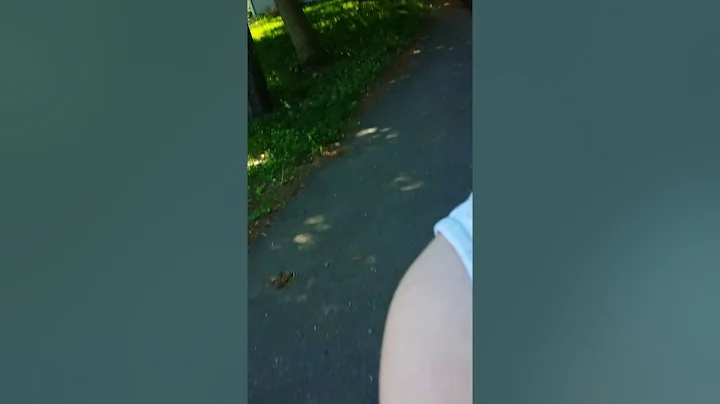 I'm going to go to the lake!