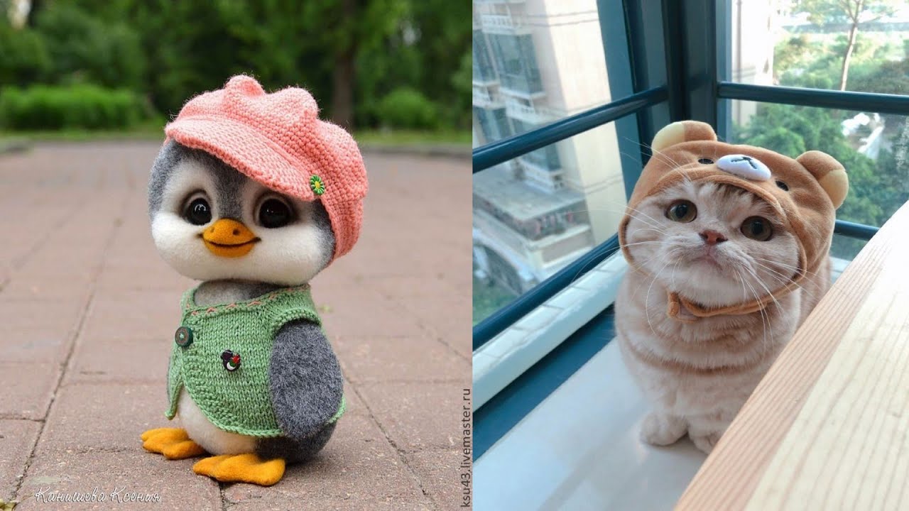 Cutest Animals Cute baby animals Videos Compilation - YouTube