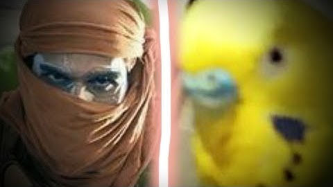 Toxic Warfare General VS General Kesha^ Command & Conquer Generals ZH Destructive forces mod