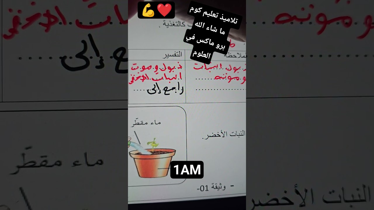 كن مثل تلاميذ تعليم كوم أو مت وأنت تحاول 😍