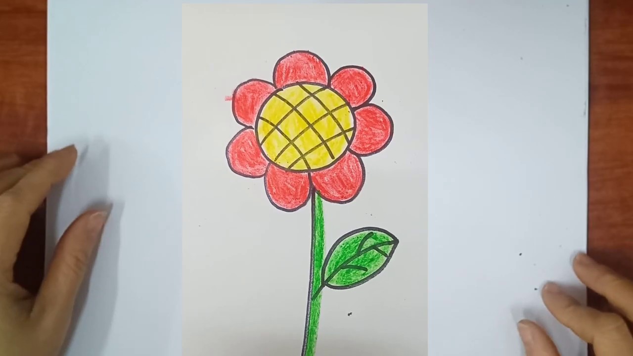 Vẽ hoa cách vẽ hoa vẽ bông hoa draw a flower  YouTube