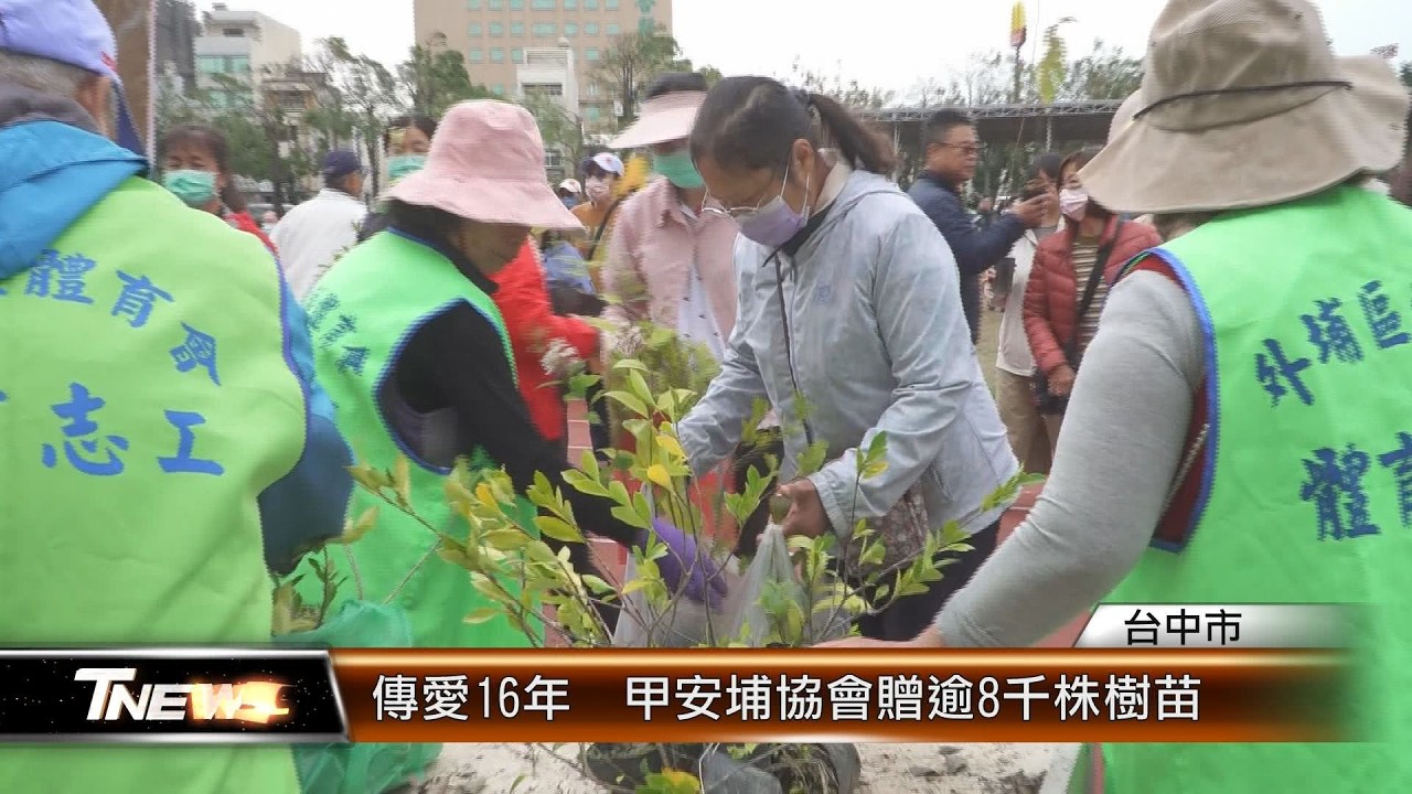 傳愛16年  甲安埔協會贈逾8千株樹苗│T-NEWS聯播網
