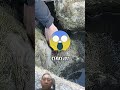 KIRAIN DAPAT APAAN GAK TAUNYA DAPAT IKAN BESAR