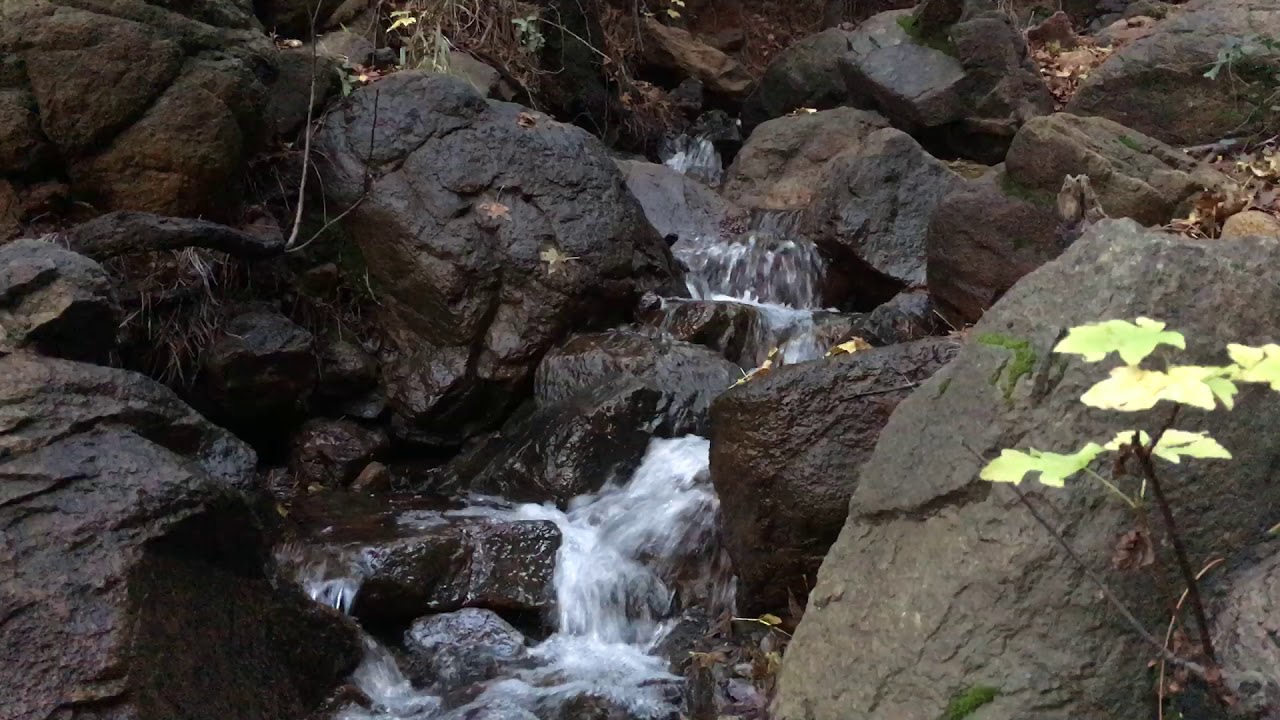 Звук шума ручья. Ручей видео со звуком воды. Звуки живой природы леса пение птиц журчание ручья шум леса. Лесные ручьи наполнились Прохладном водой и шумели в глубокой. Шум ручья слушать.