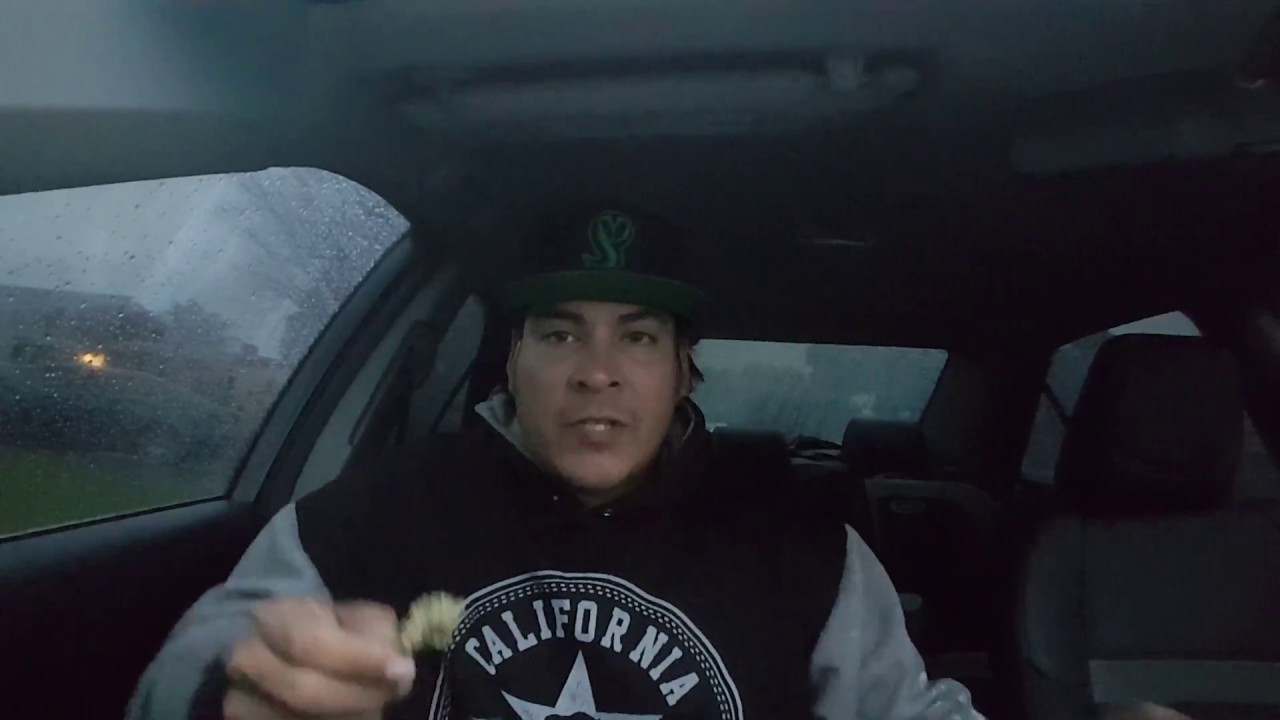 SKUNKMASTERS:Paris og by the jungleboyz