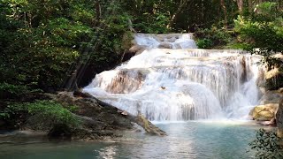 20 mint of soft music for deep sleep and study | maditation music, soft music, relaxation screenshot 5