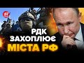 🔥ДИКИЙ: РДК ПРУТЬ на Москву! Путіну доведеться ВІДВОДИТИ війська З ФРОНТУ. В Кремлі ПАНІКА