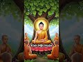 Kinh Mật Hoàn