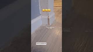 carpertry work inspectors see that should have never passed!