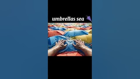 umbrellas sea 🌂