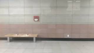 서울교통공사4호선 452편성 오이도행 주행영상(인덕원~범계)
