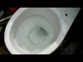 my toilet with syphonic flush
