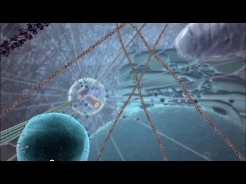 Video: Nieuwe Nanorobots Doden Kankercellen In Minuten - Alternatieve Mening
