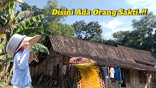 Viral Nyata Kakek Sakti Tinggal Di Rumah Nyentrik Desa Terpencil Tengah Hutan Belantara Jawa Tengah