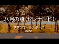 【八月の詩(セレナード)/サザンオールスターズ カバー】【歌詞つき】#cover #サザンオールスターズ