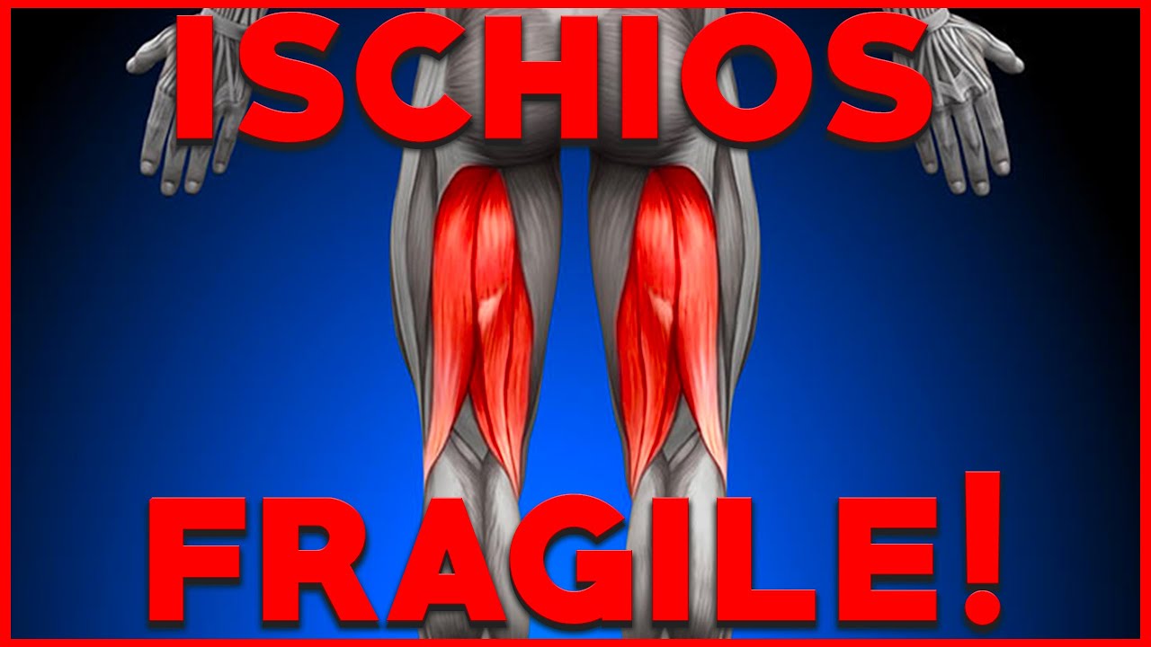 Pourquoi les ischios-jambiers sont-ils fragiles ? (renforcement/exercices/méthodes, etc.)