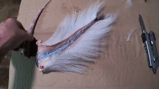 How to Skin a whitetail deer tail and preserve for display screenshot 4