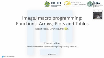 04b ImageJ macro programming: Functions, Arrays, Plots and Tables