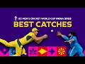 All the best catches from Cricket World Cup 2023 😱