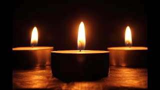 In Loving Memory of Stephanie Regina White 12/28/2024 10am
