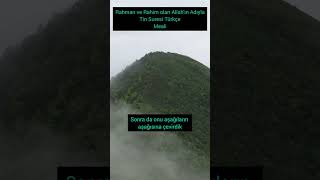 Tin Suresi Türkçe Meali Biz, Gerçekten Insanı En Güzel Bir Biçimde Yarattık.