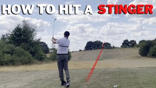 Celebrity How To Hit A Stinger - Its Way Easier Than You Think Profile