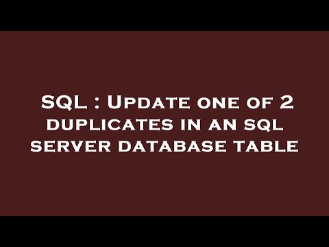 SQL : Update one of 2 duplicates in an sql server database table