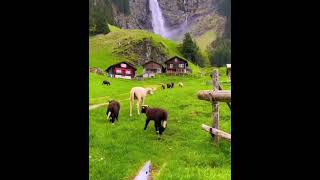 Ozan Beyzade / Dağın Yamacında Resimi