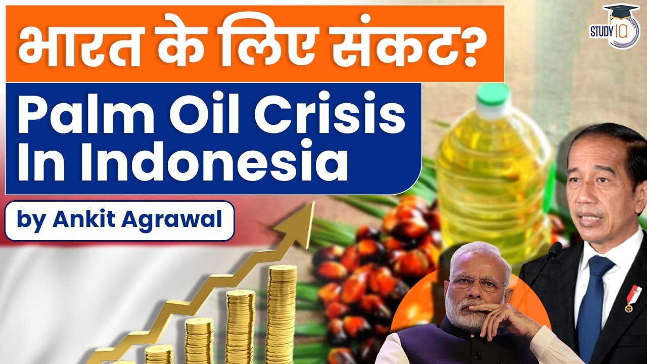 World’s biggest producer Indonesia has a PalmOil crisis and its