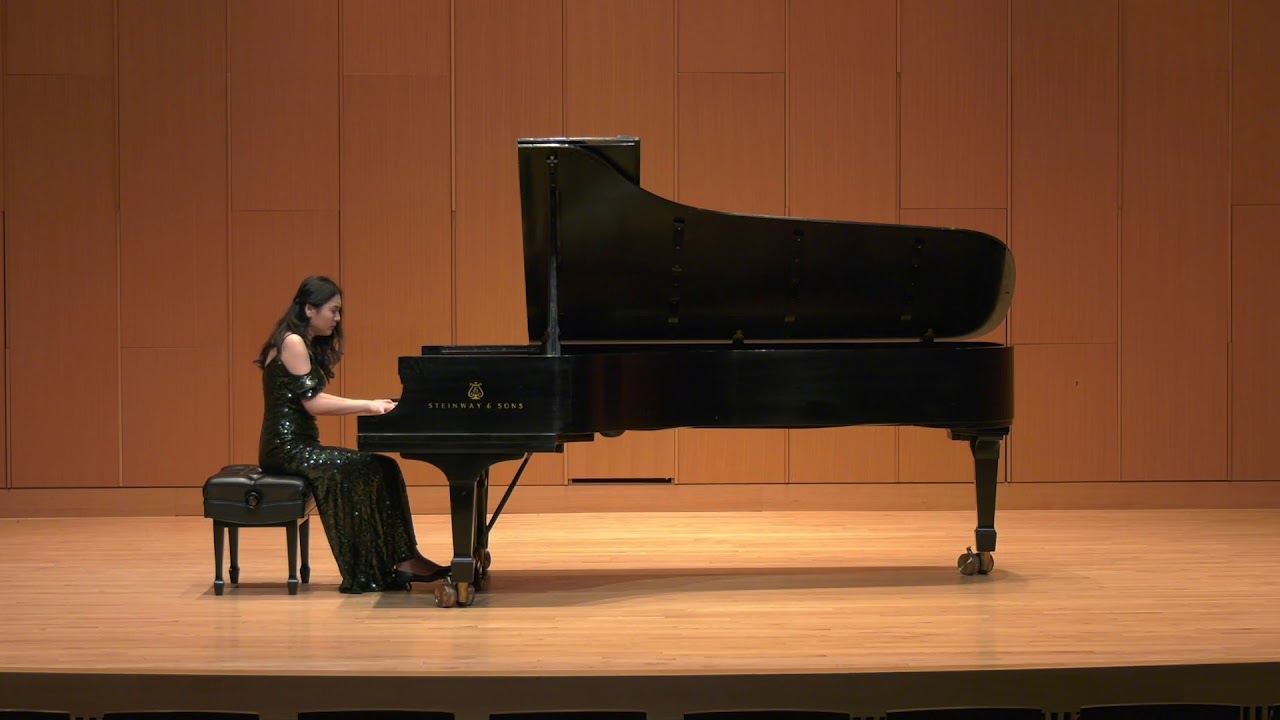 Schubert D.845 1st Movement-Chen Wang - YouTube