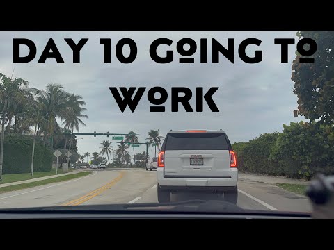 Day 10 drive to work || Florida USA || Rosalinda