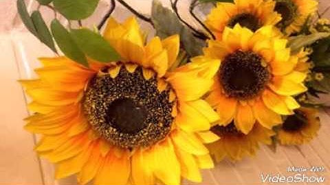 وقت أذكار الصباح و المساء الشيخ سليمان الرحيلي حفظه الله