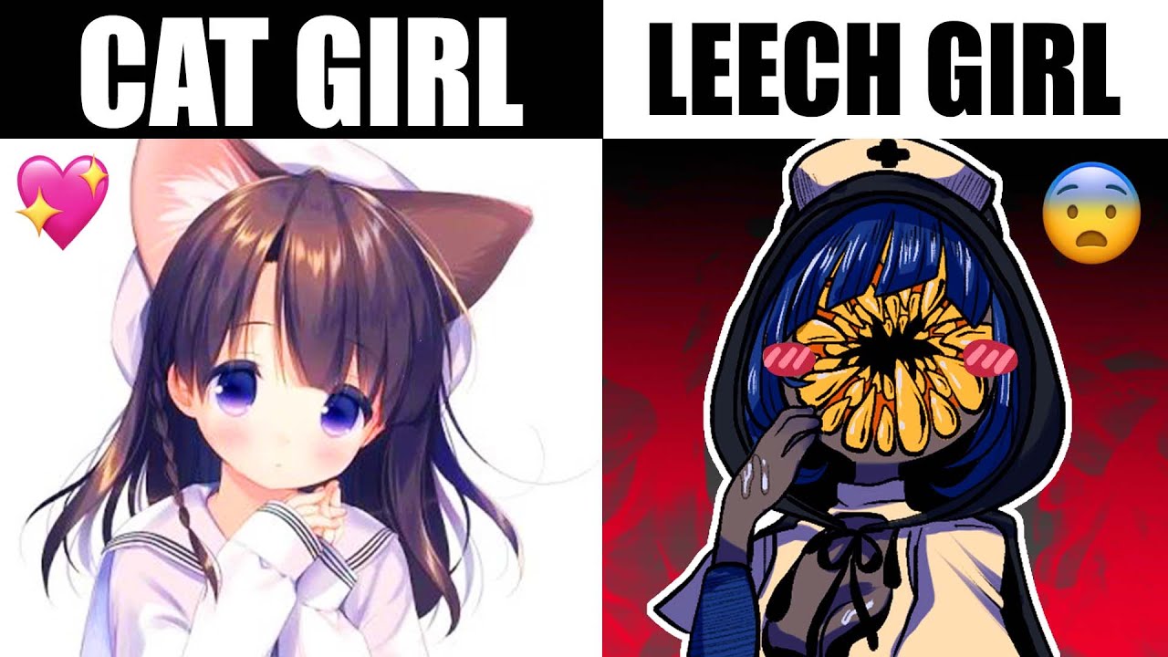 IF CATGIRLS WEREN'TCATS 