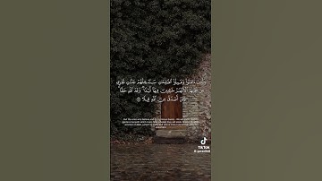 #اكسبلور قران كريم راحه نفسيه #القزابري #يارب #تيك_توك #لايك