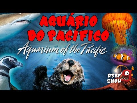 Vídeo: Aquarium of the Pacific - Um guia para o aquário de Long Beach