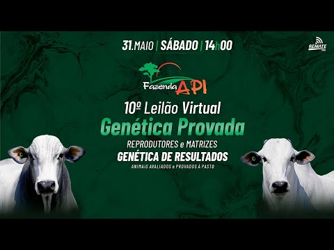 LOTE 33