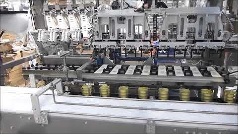 Mespic Integrated Multipack Case Packer