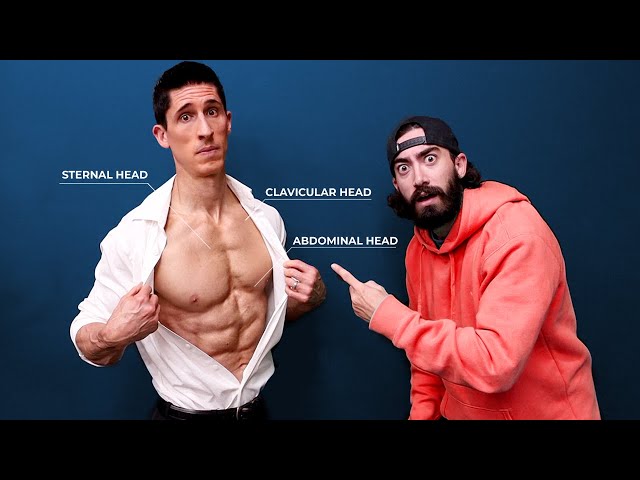 The Only 3 Chest Exercises You Need (Chiseled Pecs!) - Youtube