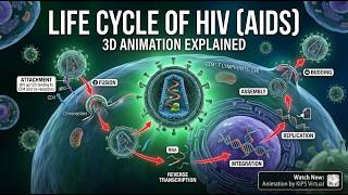 🦠 Life Cycle of HIV | Complete Animated Explanation for MDCAT & Biology Students | KIPS Virtual