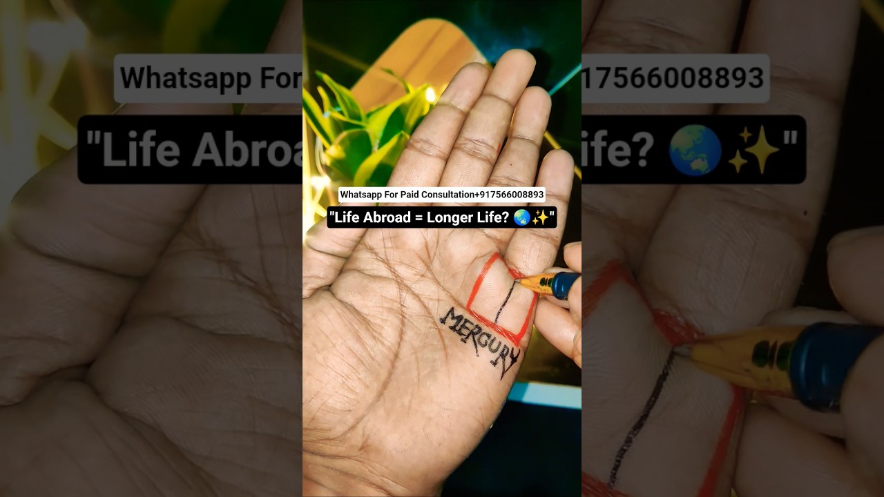 "Life Abroad -Longer Life?🌏✨