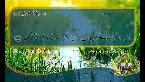 سورة الكـفرون برواية هشام عن ابن عامر للمقرئ #يحي_ولد_فال الشنقيطي